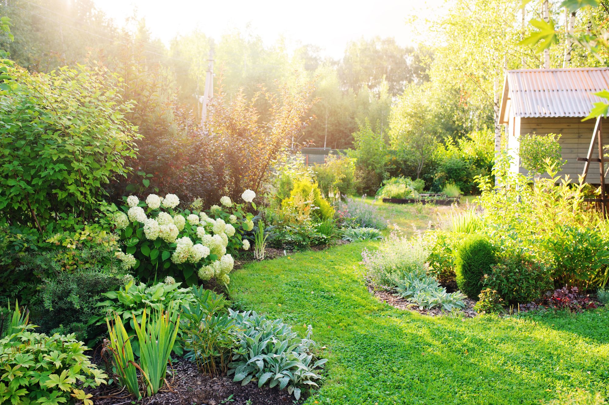 Fit f&uuml;r Hitze und D&uuml;rre: 10 Tipps f&uuml;r den klimaresistenten Garten