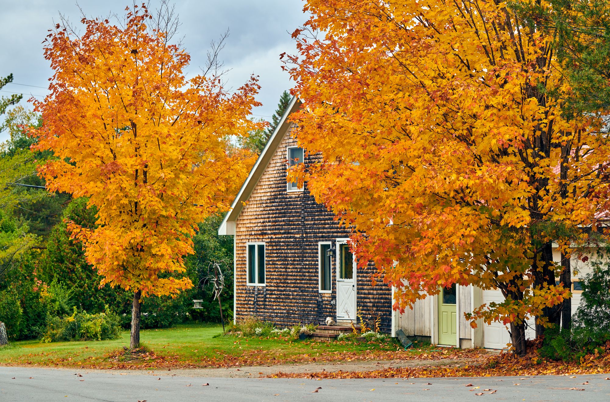 Gartenarbeit im Herbst: Rechte und Pflichten an der Grundst&uuml;cksgrenze